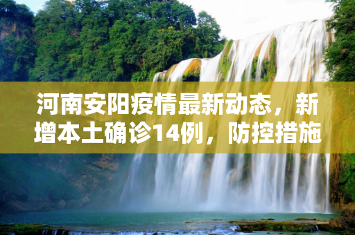 河南安阳疫情最新动态，新增本土确诊14例，防控措施加强,河南安阳新增本土确诊14例